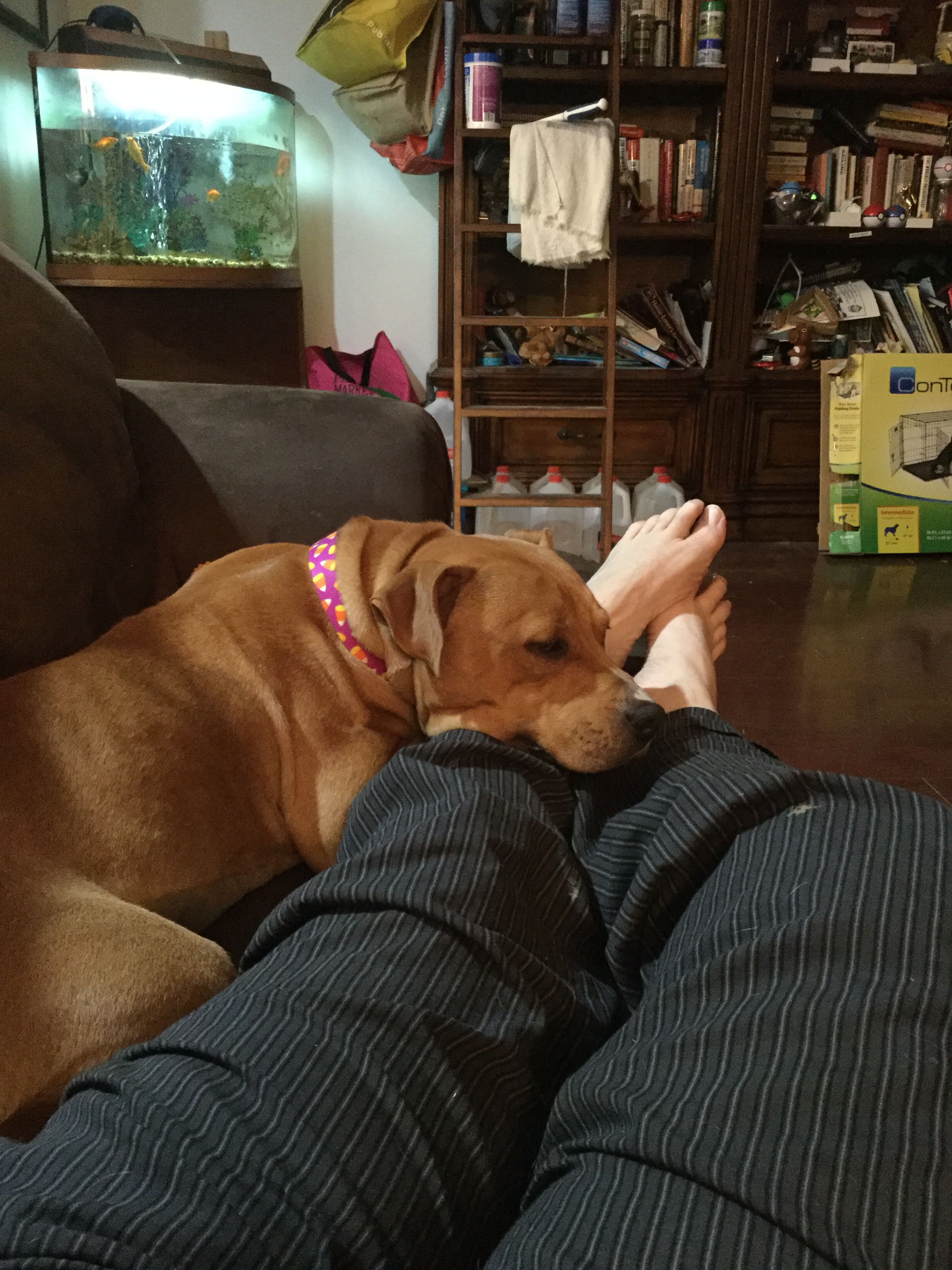 3A72E8EA-37A4-4102-9FFB-F32AC61599ED